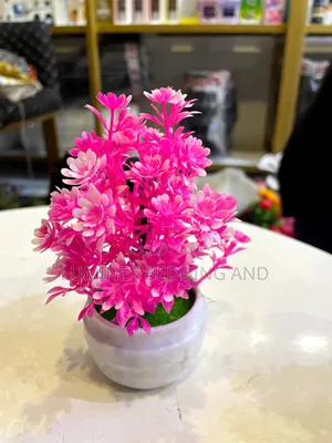 Little Table Flower