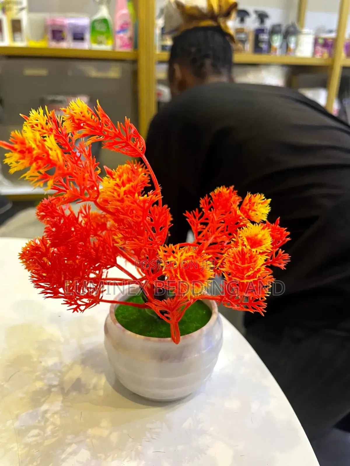 Little Table Flower