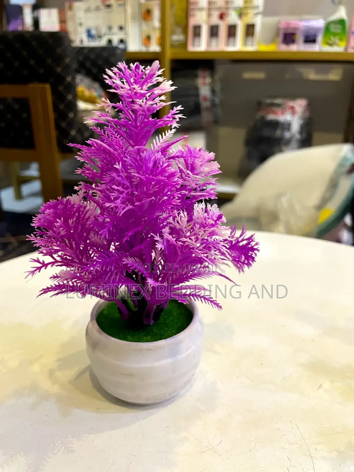 Little Table Flower