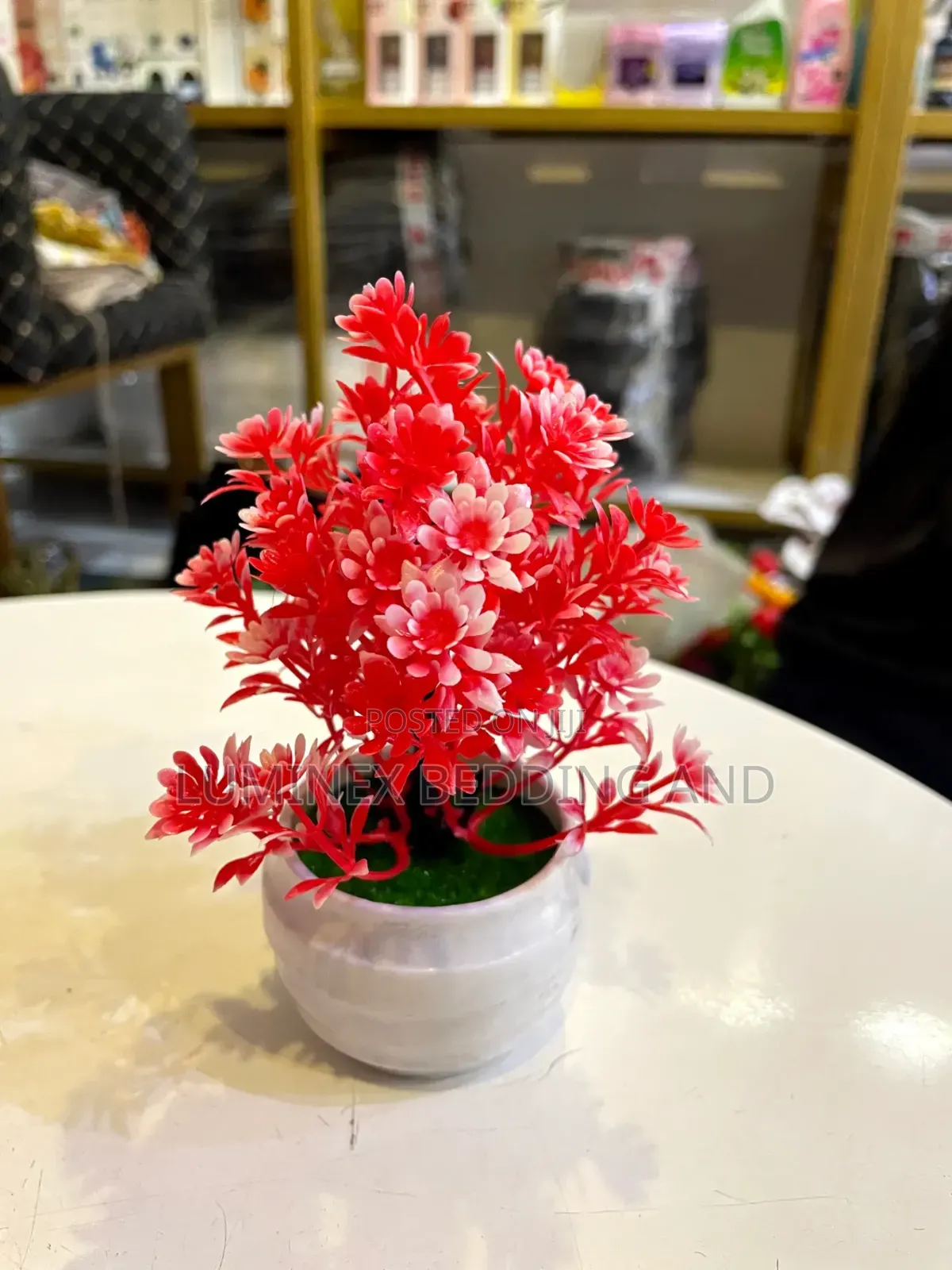 Little Table Flower