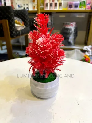 Little Table Flower