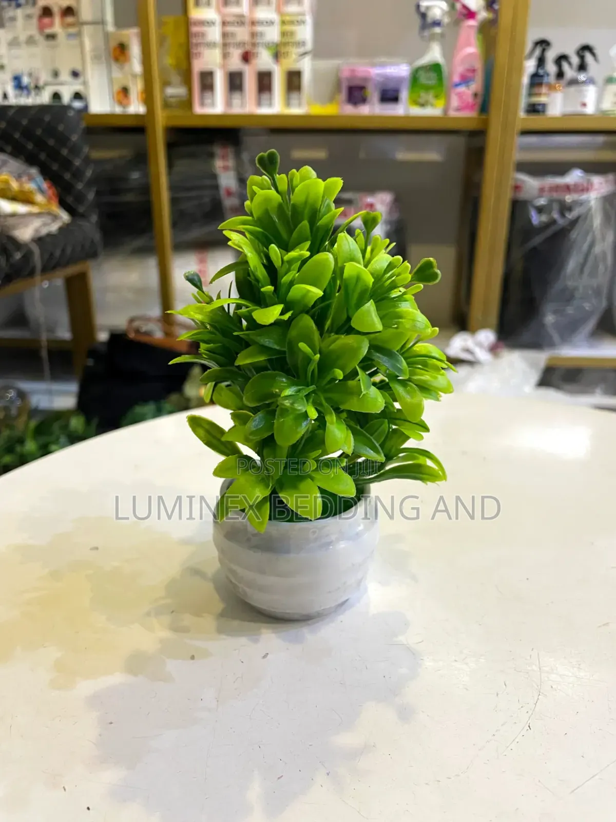 Little Table Flower