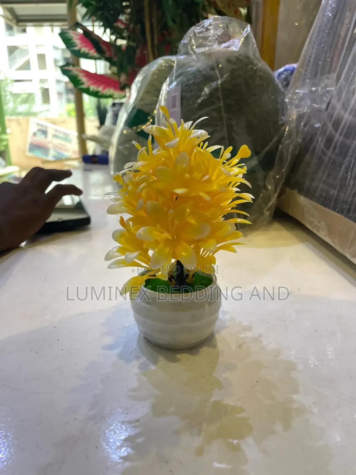 Little Table Flower