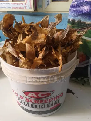 Stockfish Cord (Nti Azu)