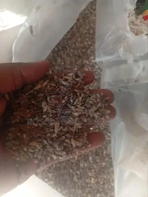 Rice Dog Food