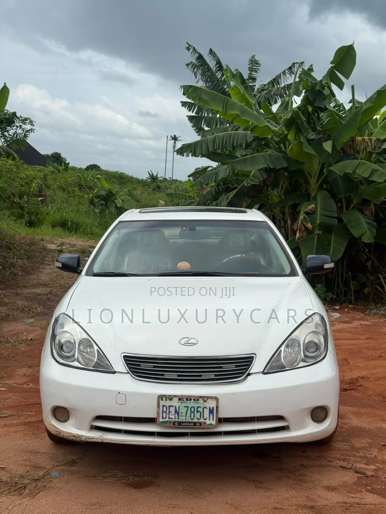 Lexus ES 2006 White