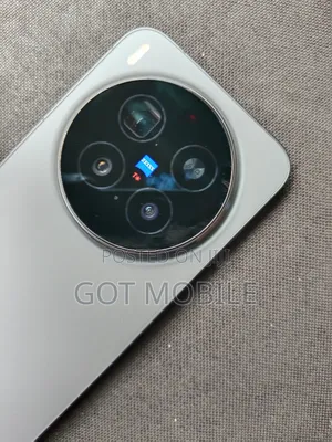 Vivo X300 Pro 512 GB Gray