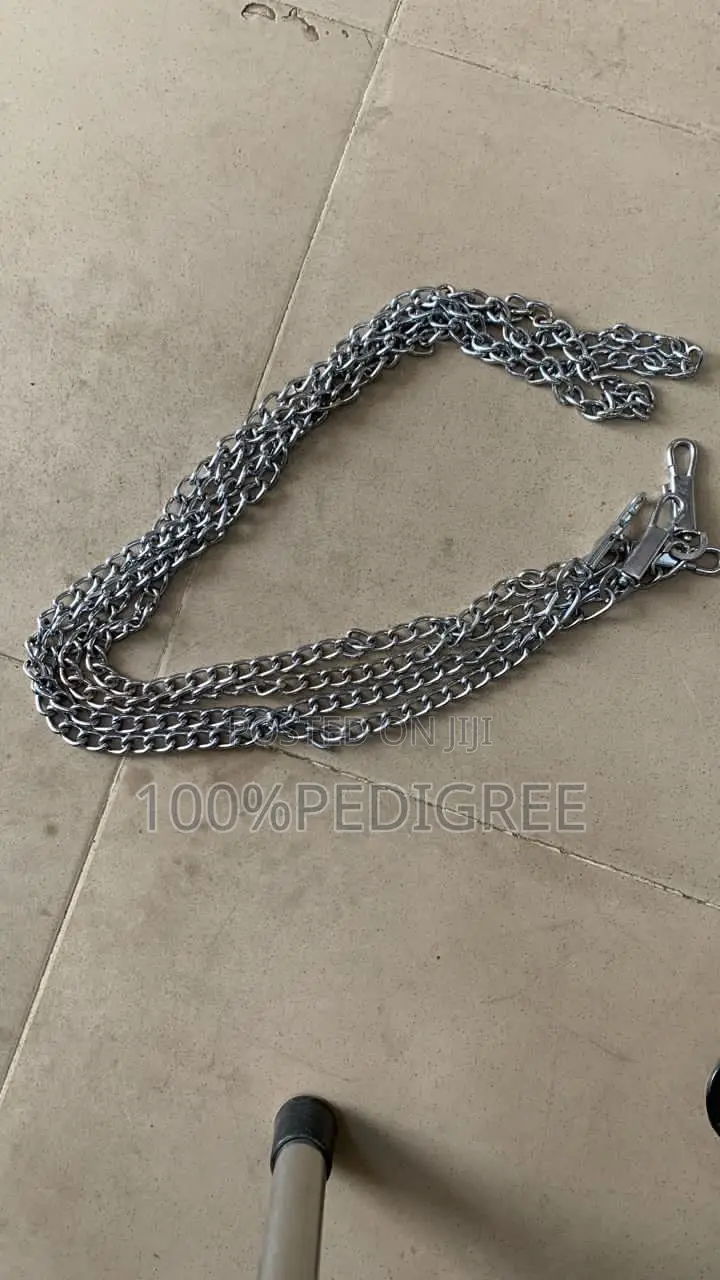 Collar Choke Chain