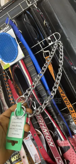 Collar Choke Chain