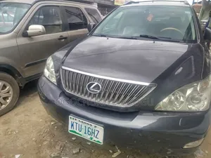 Lexus RX 2007 Gray
