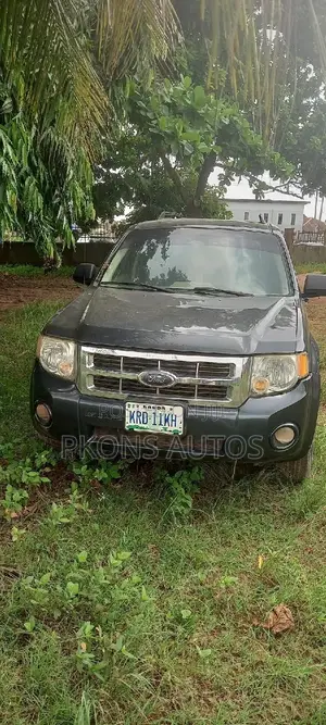 Ford Escape 2006 Gray