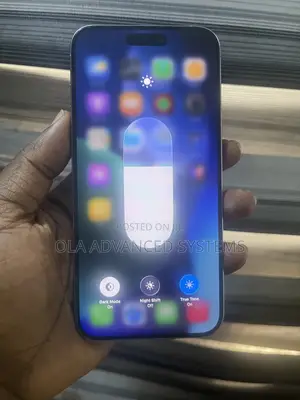 Apple iPhone 15 Pro Max 256 GB Silver