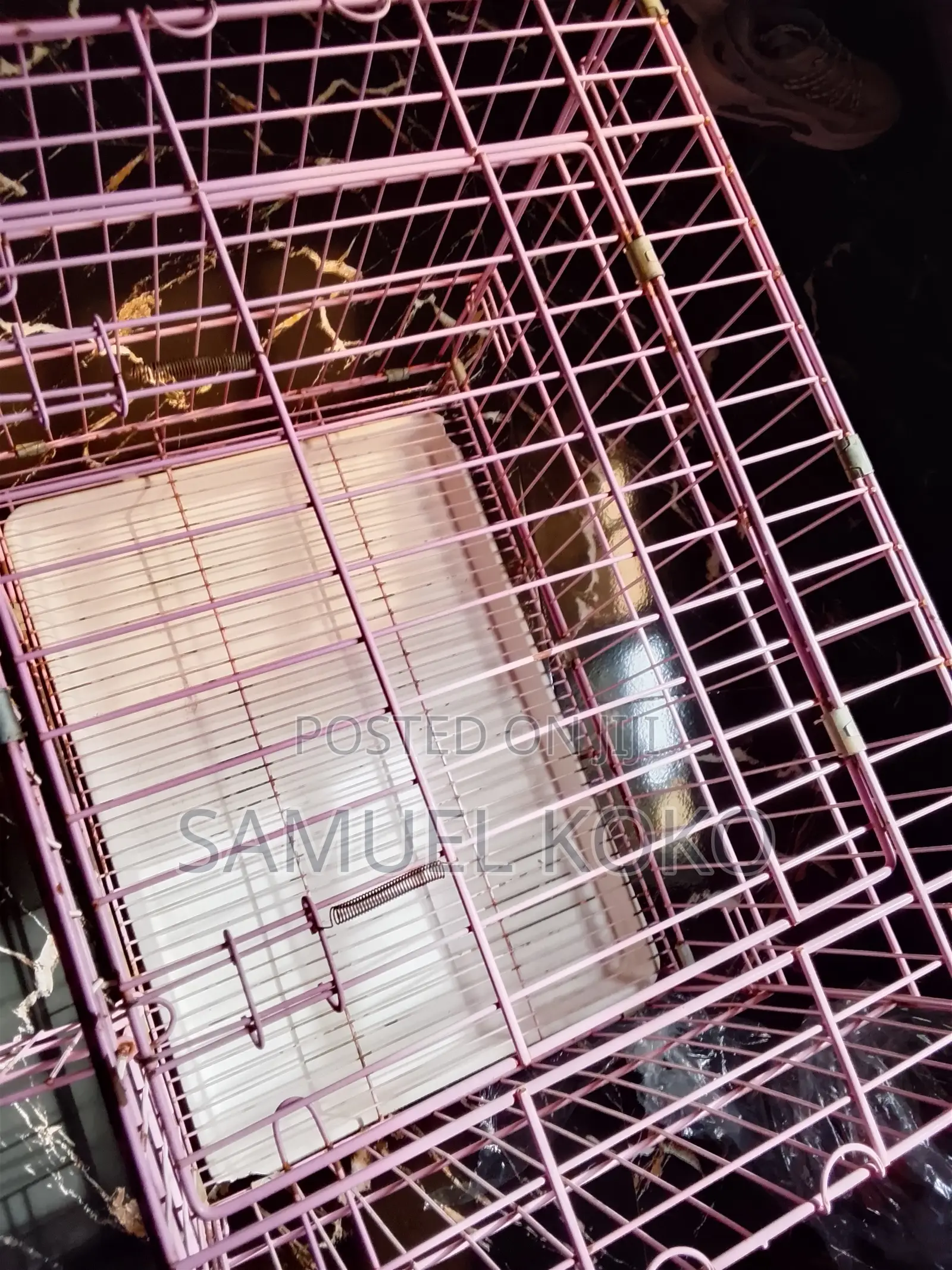 Dogs Cages