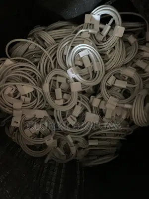 iPhone Cords Usb Type