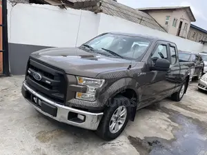 Ford F-150 2015 Gray
