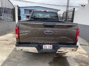 Ford F-150 2015 Gray
