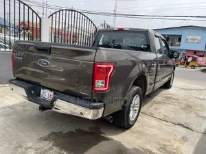Ford F-150 2015 Gray