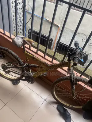 Old Bicycle