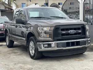 Ford F-150 2015 Gray