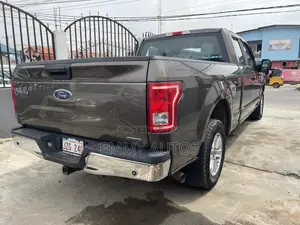 Ford F-150 2015 Gray