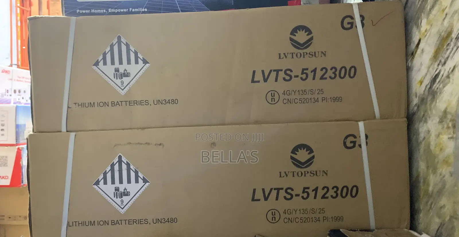 Lv Topsun Battery