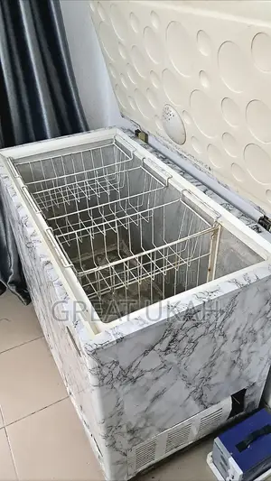 319 Liter Haier Thermocool Deep Freezer for Sale