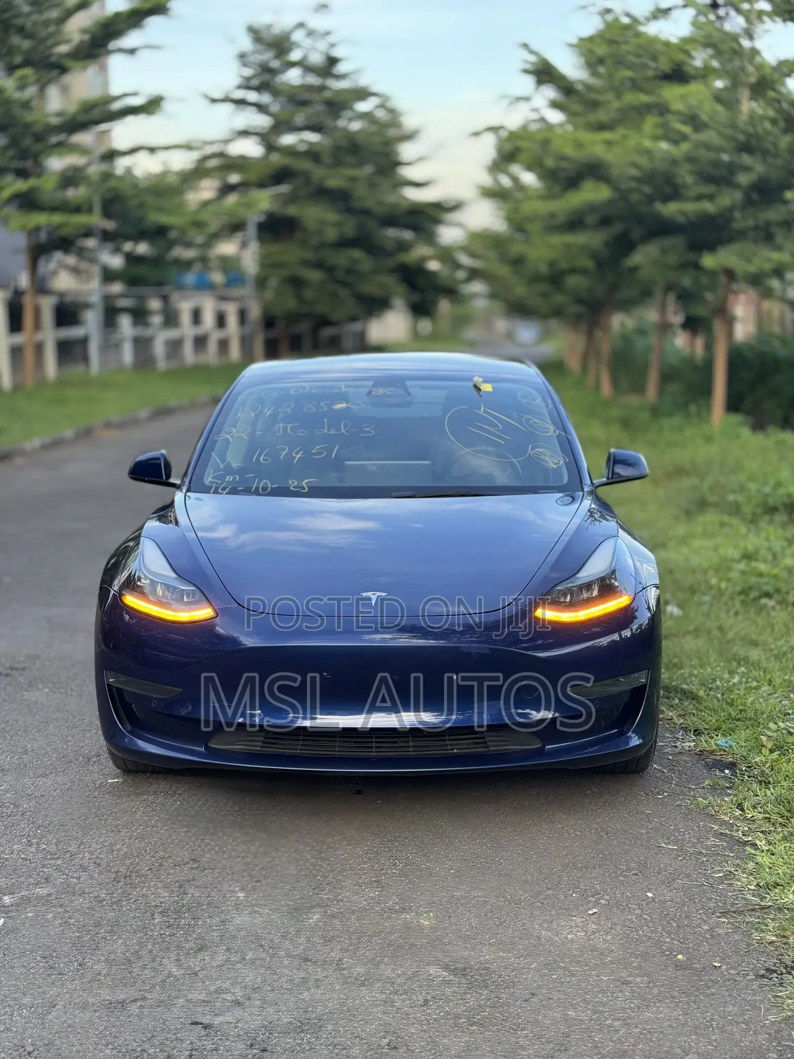 Tesla Model 3 2020 Blue