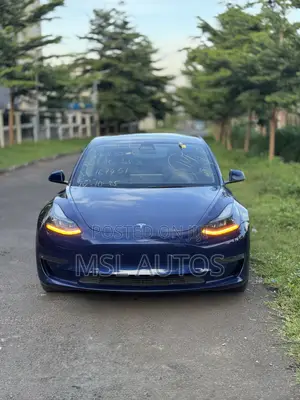 Tesla Model 3 2020 Blue