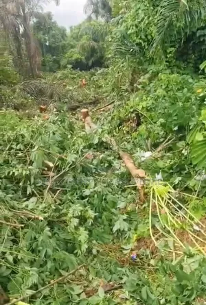 Virgin Dry Table Land of 3 Plots for Sale at Okpaka