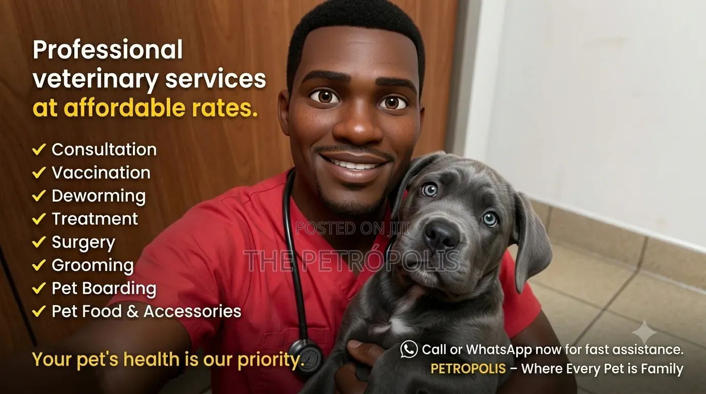 Vet and Grooming Services for Dogs Cats