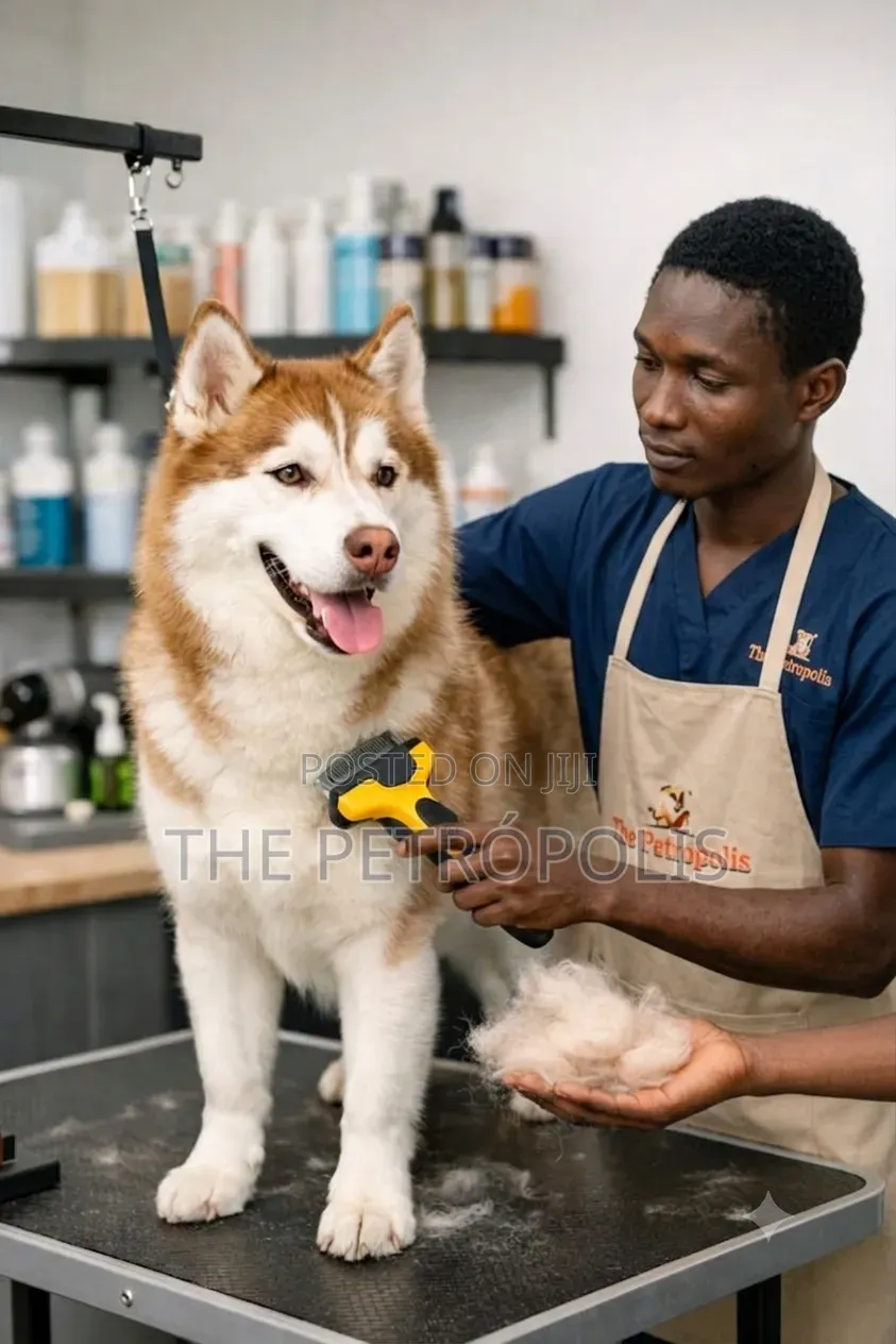 Vet and Grooming Services for Dogs Cats