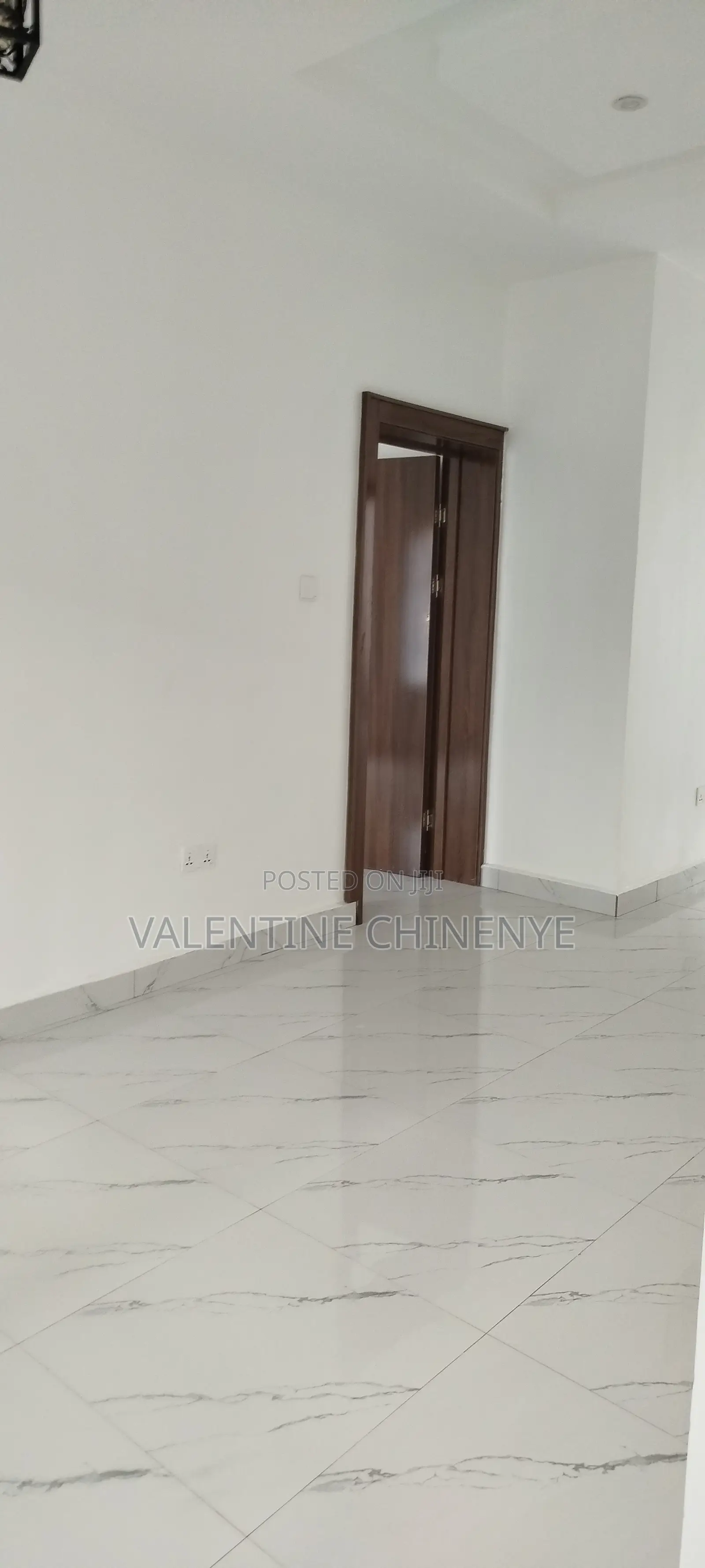 Professional Cleaning Services