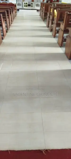 Professional Cleaning Services