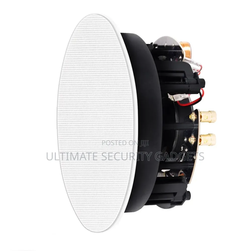 2 in 1 Active Frameless Bluetooth Ceiling Speakers