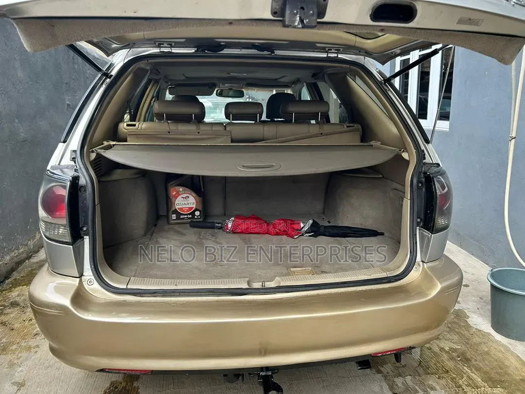 Lexus RX 2003 Silver