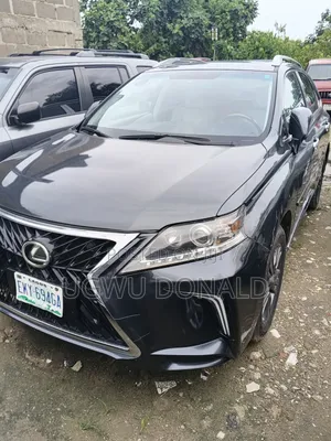 Lexus RX 2010 Gray