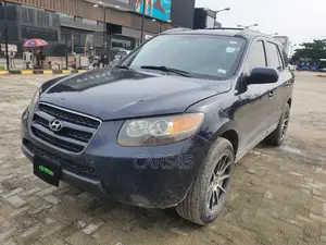Hyundai Santa Fe 2007 Blue