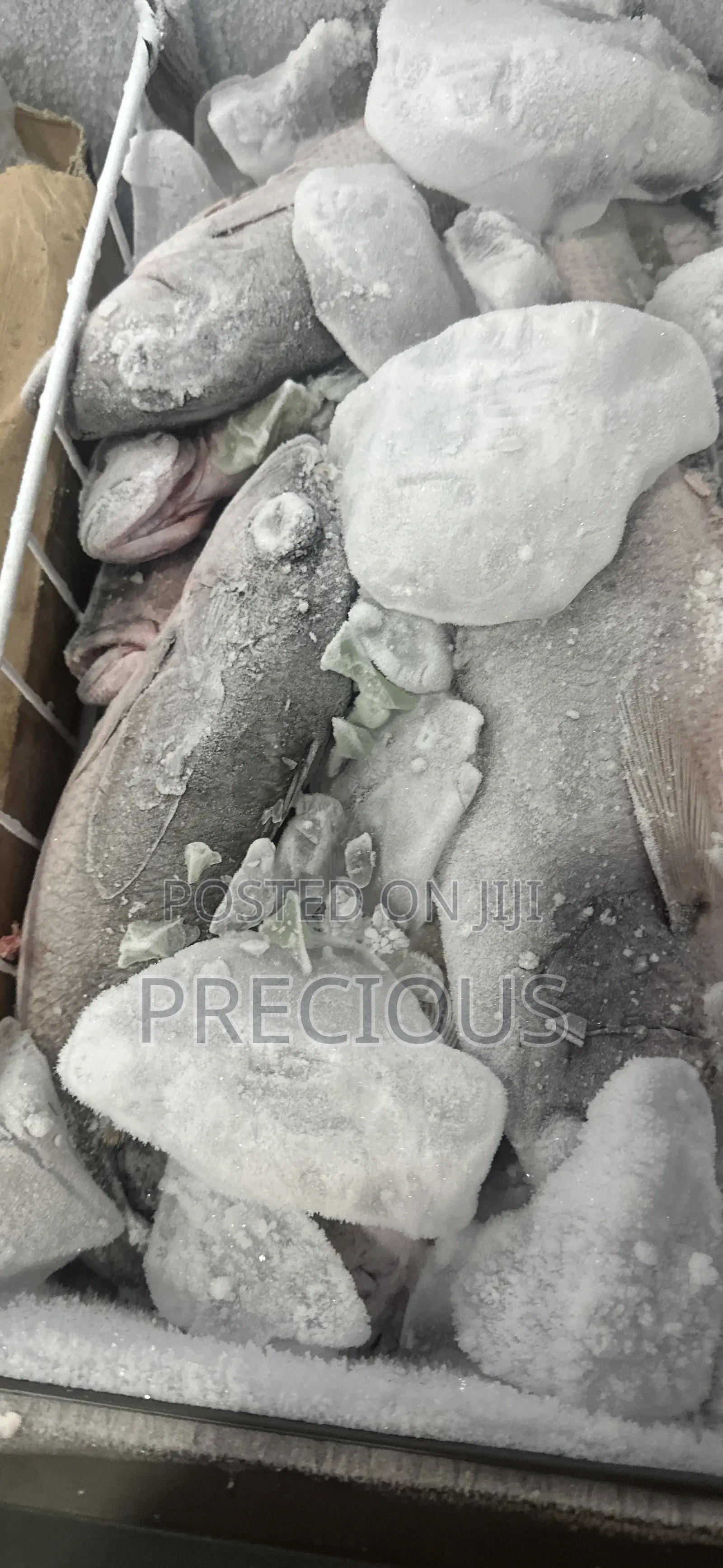 Fresh Fish