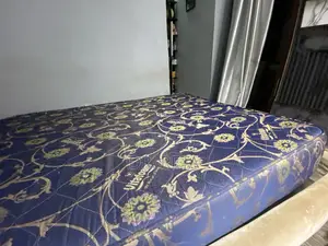 Bed Frame and Mattress
