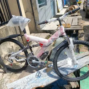 Adult Bicycles