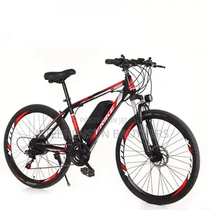 Fryke Mountain Electric Bike