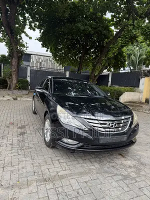 Hyundai Sonata 2010 Black