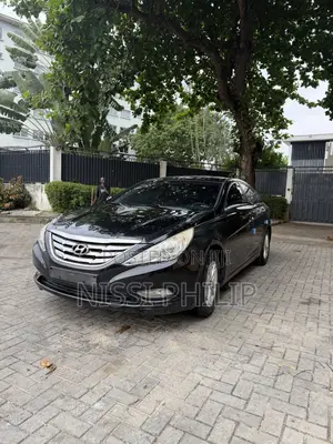 Hyundai Sonata 2010 Black