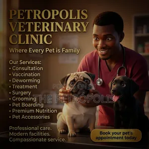 Vet Animal Doctor Near Me
