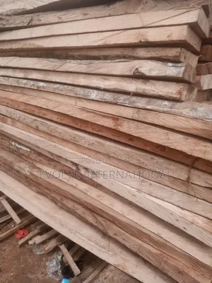 Wood of All Wizes