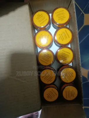 Pilot Lamp