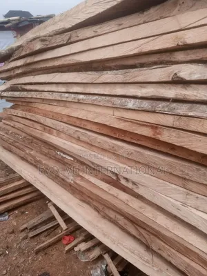 Akun Strong Woods