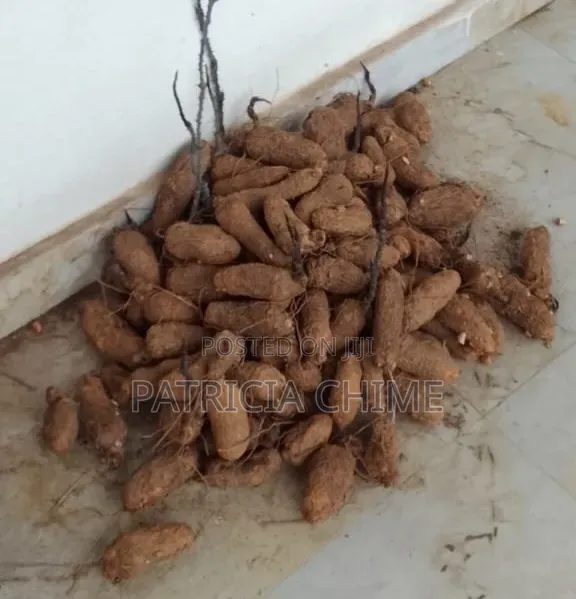 Yams (Wholesale at Once)