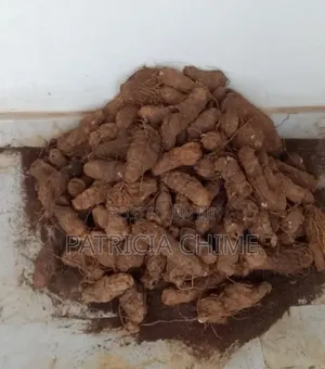 Yams (Wholesale at Once)