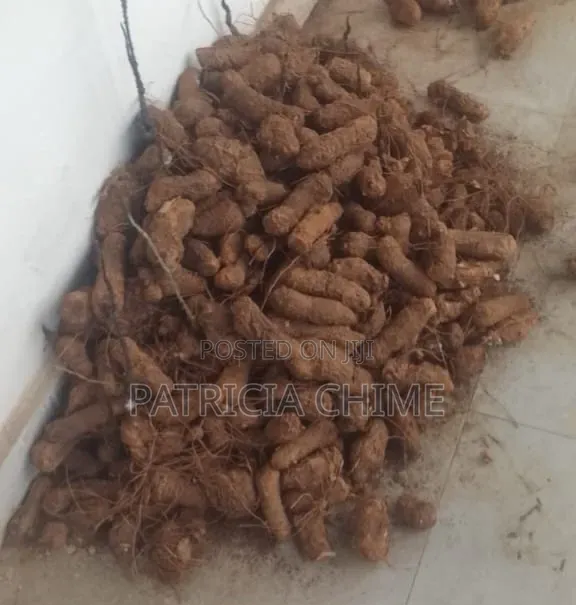 Yams (Wholesale at Once)